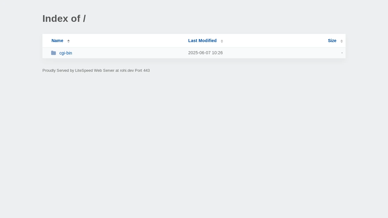 A screenshot of Rohi.dev