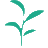 A favicon of Monorepo